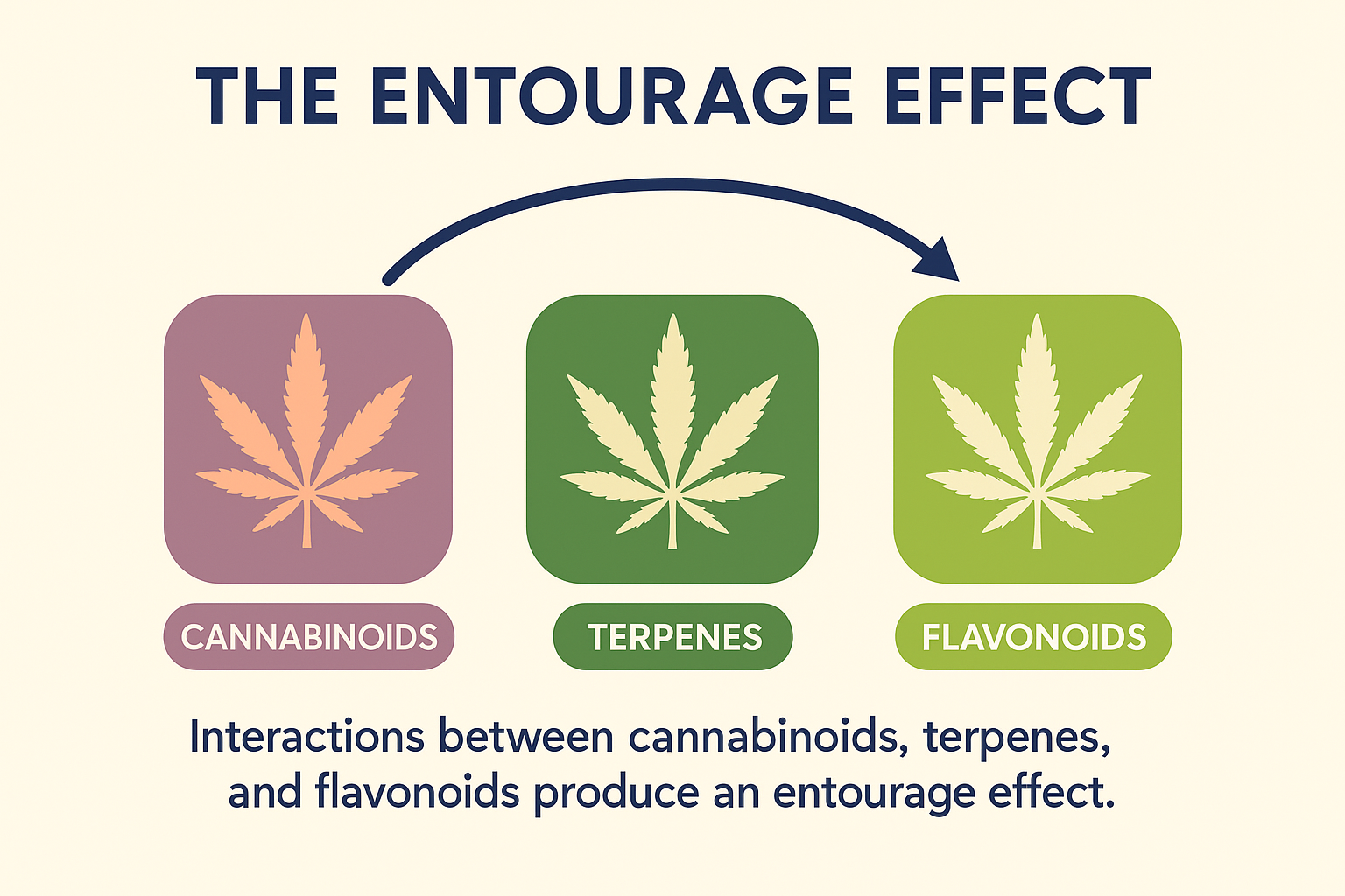 The Entourage Effect