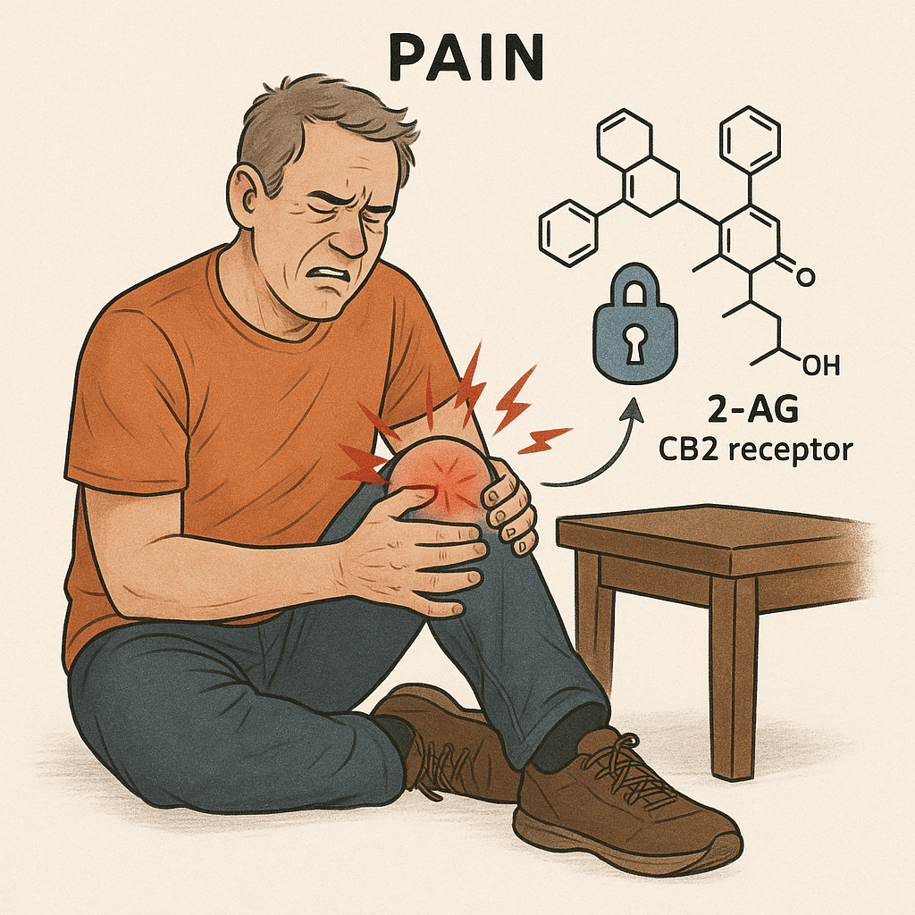 Knee Pain Example