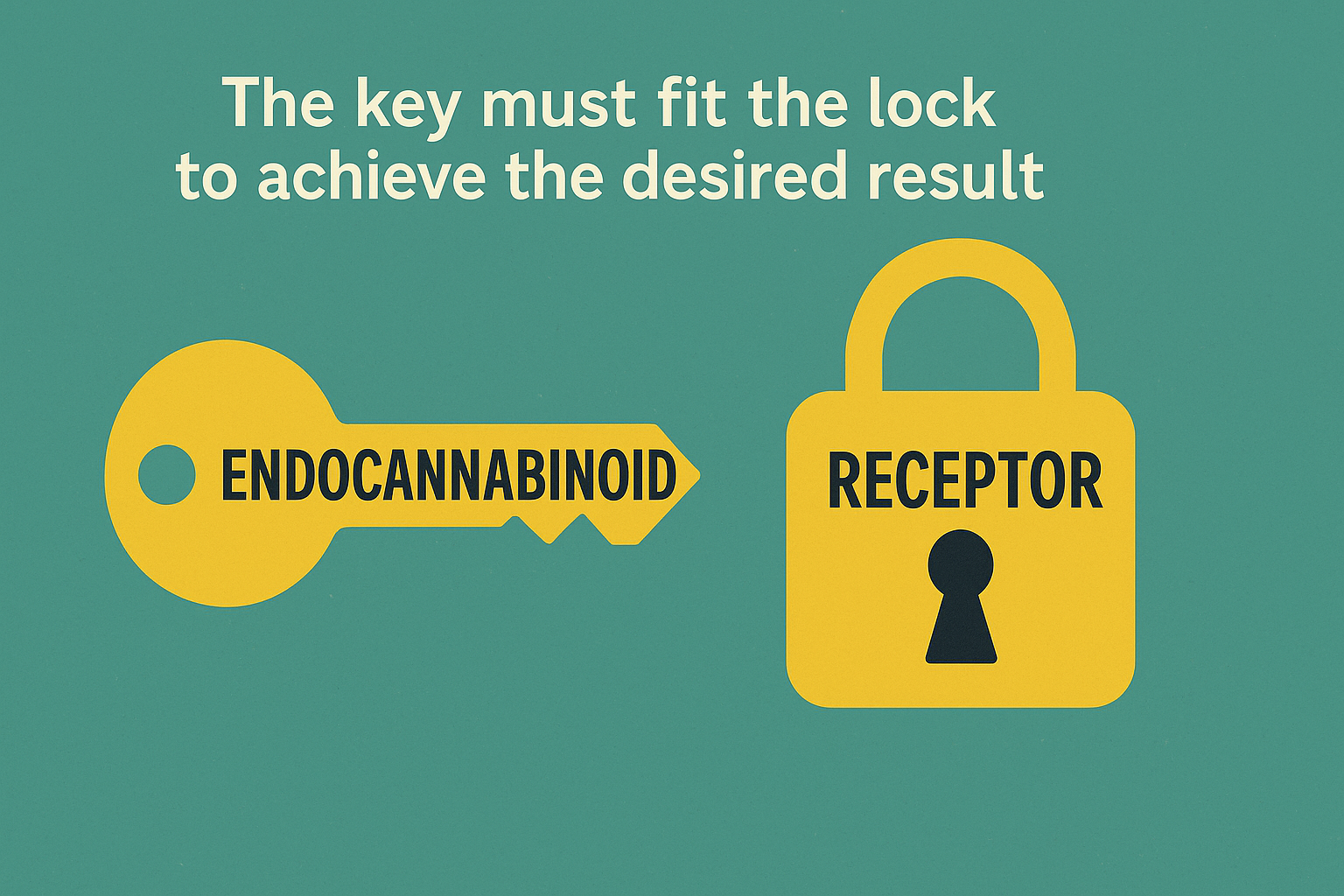 Key Lock Analogy
