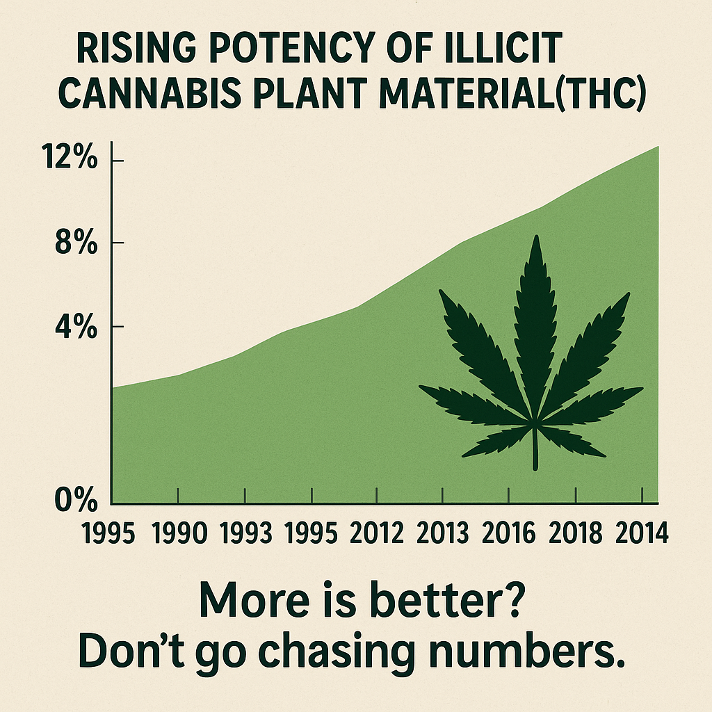 Rising THC Potency