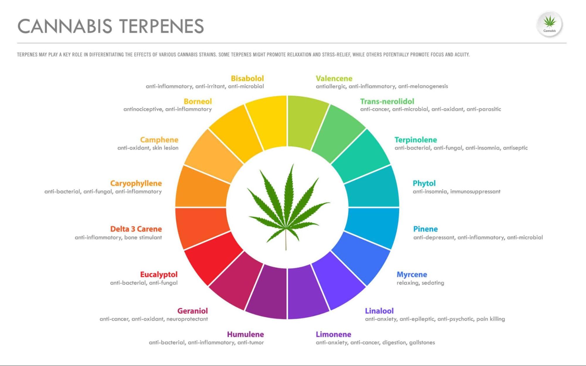 Cannabis Terpenes Wheel