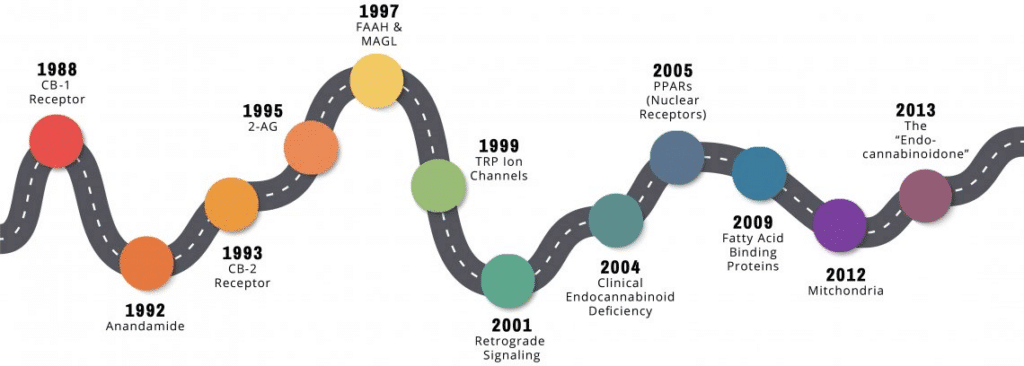 ECS Discovery Timeline