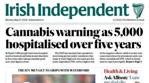 Irish Independent Article